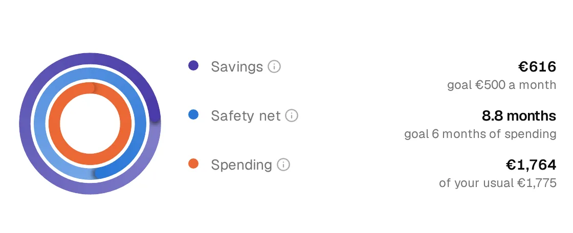 Three rings: savings, safety net and spending for the month.